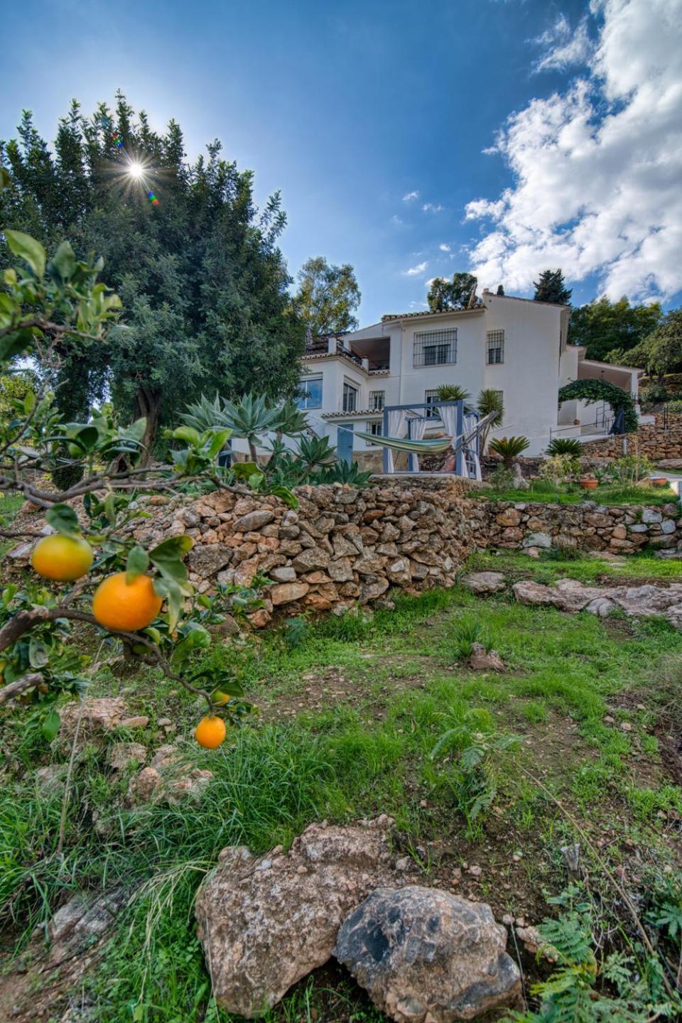 Villa Morera Bed & Breakfast Frigiliana Kültér fotó